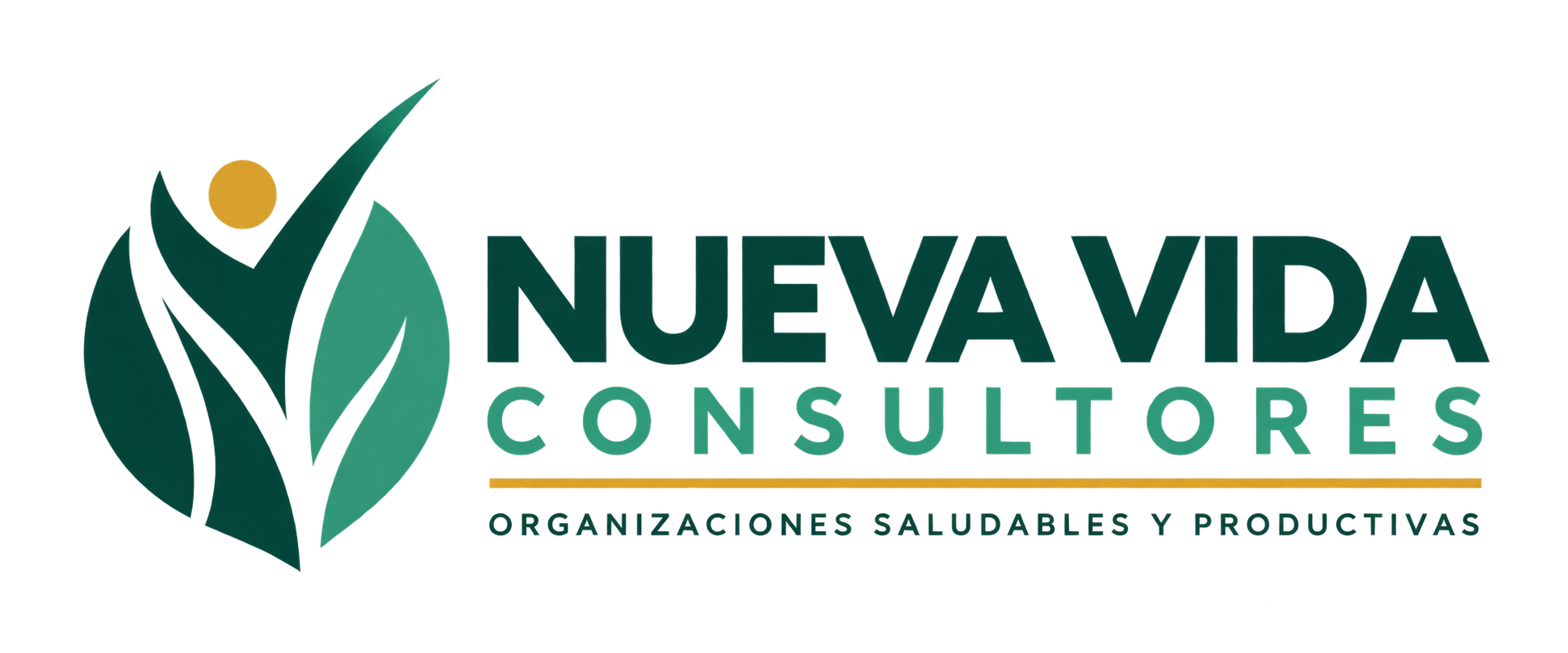 Nueva Vida Consultores